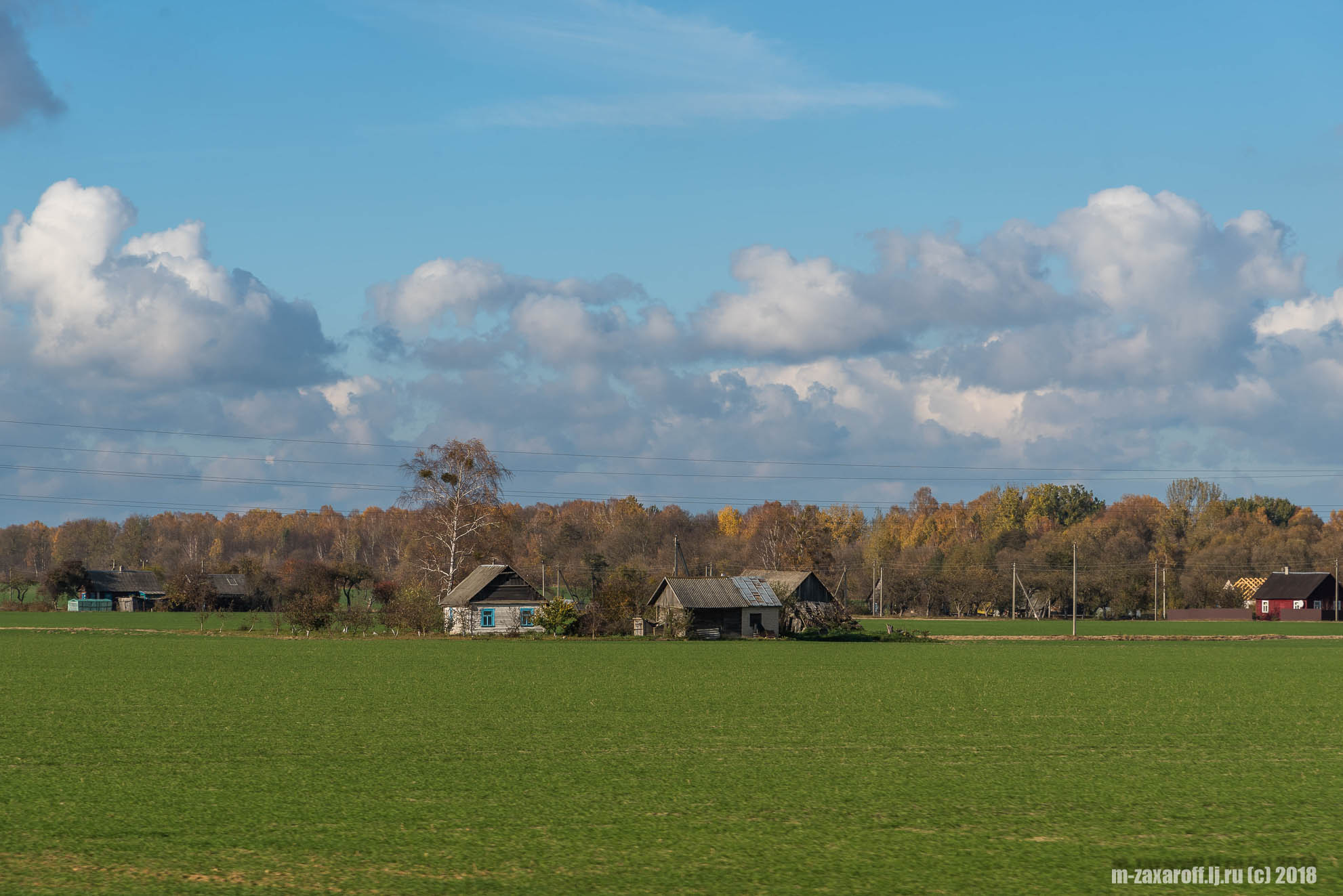 Grodno (Гродно)